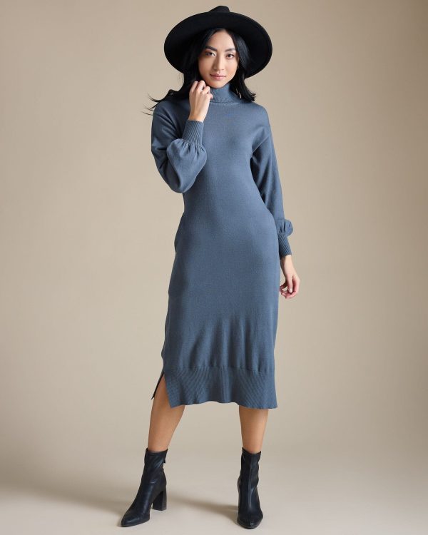 Anetpc Turtleneck Dress